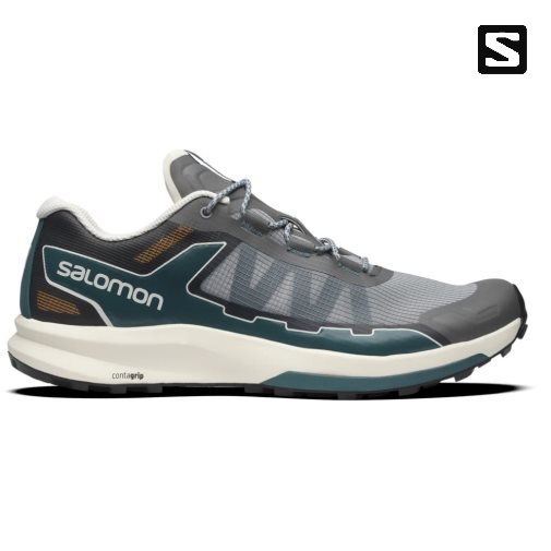 Grey Salomon Ultra Raid Women's Sneakers | PH 52413G